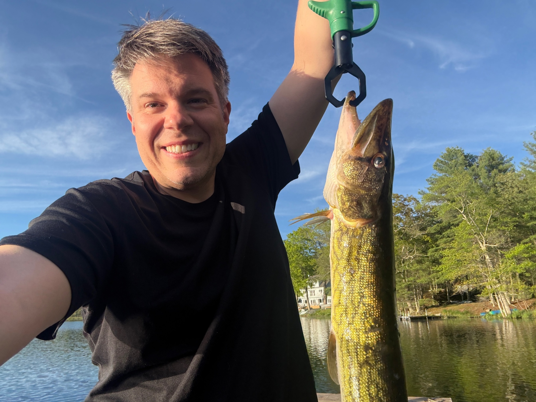 Chain pickerel — the big one