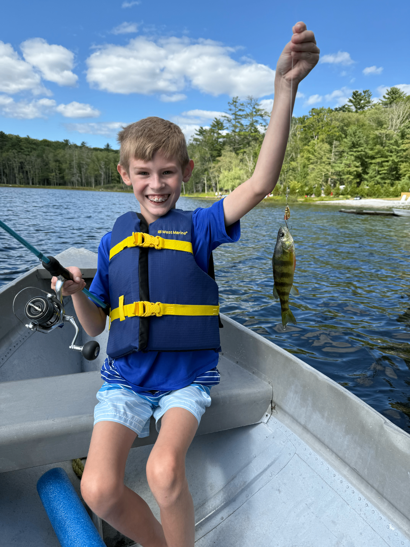 Yellow perch, straight from the boat